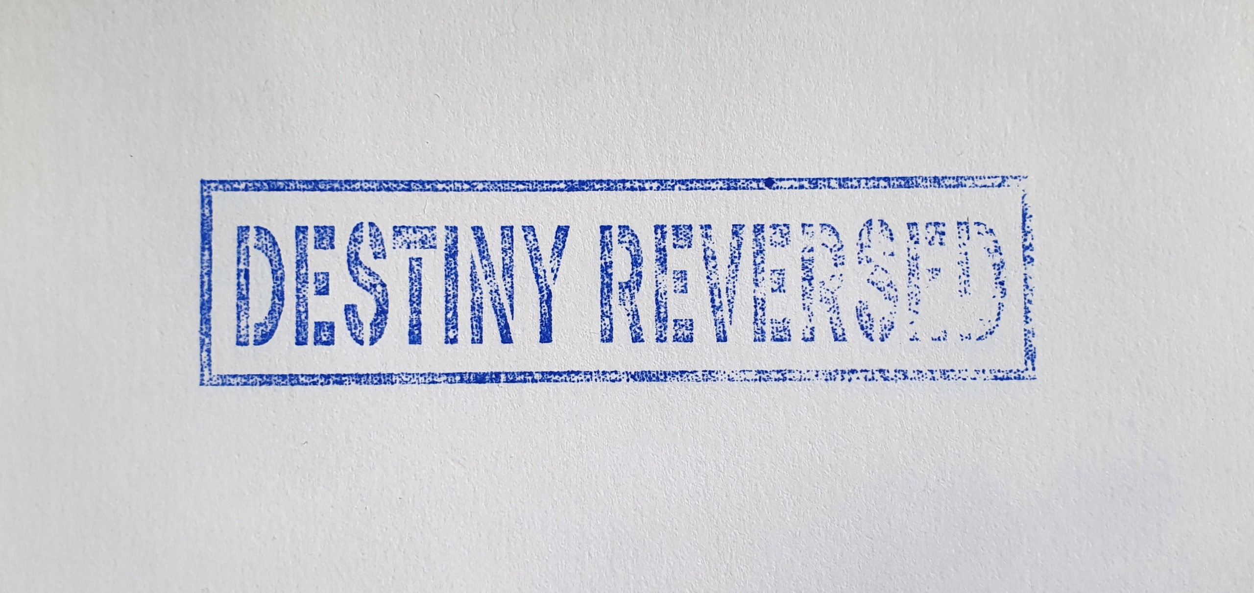 Reversible destiny office – Maria Klaassen-Andrianova