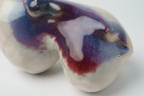 Galerie SANAA / the living world around us –  Su Melo, Suzanne Plomp & Anne Marie Spijker
